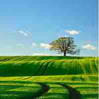 脚‍本﻿搜‌索‌网‌站​下‍载﻿软‌件﻿免​费​